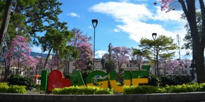 cali a ibague en bus